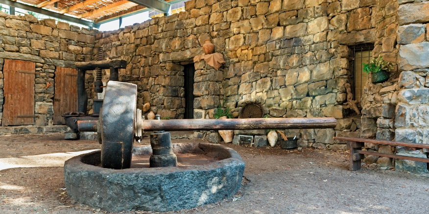 The Traditional Process Of Making Wood-Pressed Oils And Its Benefits