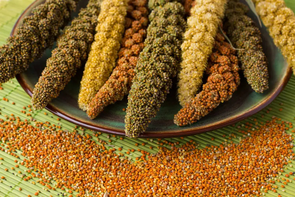 Benefits Of Going Gluten-Free With Aurganicum Millets
