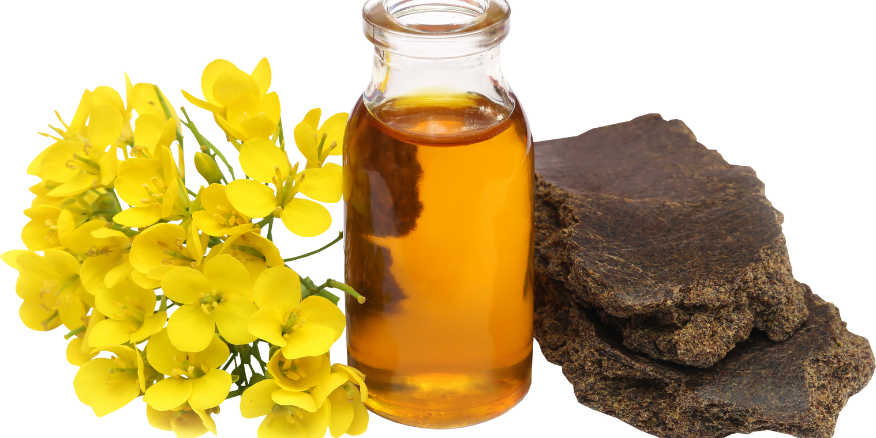 The Difference Between Wood-Pressed And Machine-Pressed Mustard Oil: Which Is Better For You?